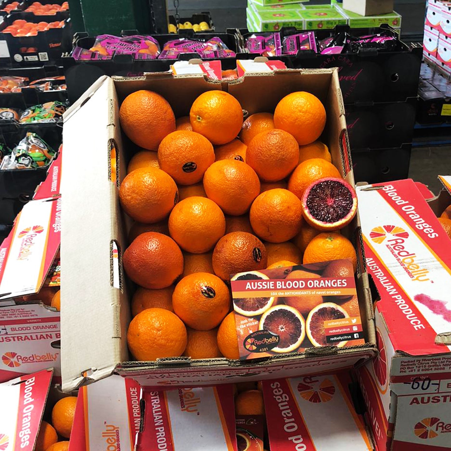 Redbelly Citrus Blood Oranges 10kg Box