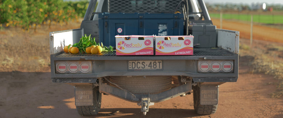 Delivery Information – redbelly citrus
